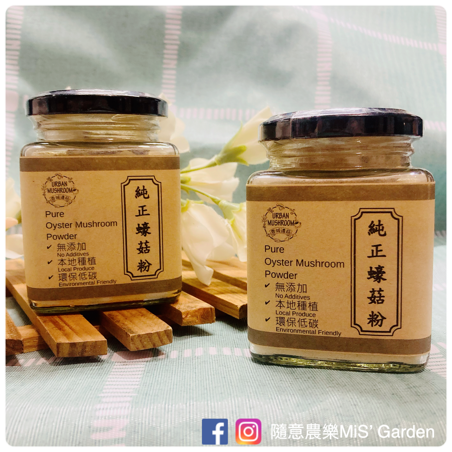 Urban Mushroom | Pure Oyster Mushroom Powder