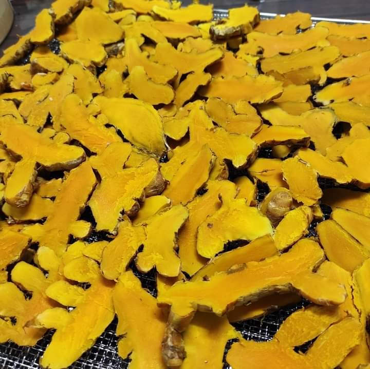 薑黃片 Turmeric (sliced)