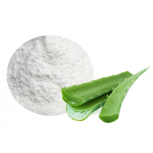 庫拉索蘆薈粉200:1 Aloe Barbadensis Miller Powder 10g